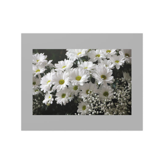 20" x 16" Poster  / Daisies