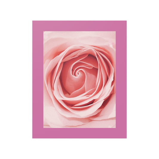 16" x 20" Poster / Pink Rose